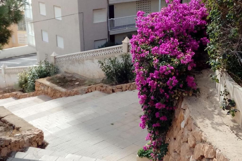 Wendy Y Antonio.Alicante- Santa Pola- Piscina/Playa Εξωτερικό φωτογραφία